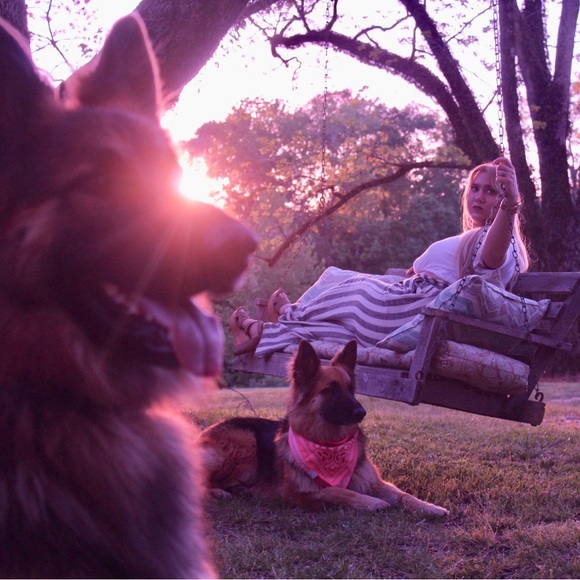 Meet your Posher, Laney - Picture 5 of 5